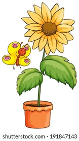 Illustration of a sunflower and a butterfly on a white background