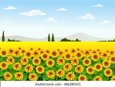 Illustration of sunflower field