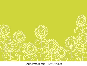 Ilustración de un campo de girasol dibujado con líneas simples (verde)