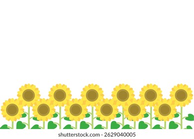 Illustration of a sunflower field seen from the front.