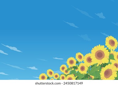 Ilustración de un campo de girasol y cielo de verano