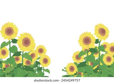 Illustration of sunflower field, Vector illustration