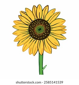 Illustration of a Sunflower for Floral and Summer Themed Designs A bright illustration drawing of a sunflower, great for seasonal decor and botanical artwork