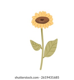 Illustration of a sunflower with green leaves 