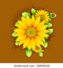 illustration of sunflower plant from top view