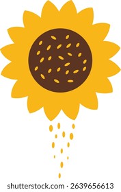 Illustration of a sunflower and its seeds falling, perfect for nature, organic, and gardening-themed graphics depicting the life cycle of a flower.


