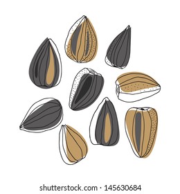 Illustration of sunflower seeds isolated