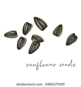 Illustration of sunflower seeds as a natural healthy snack isolated on white background.