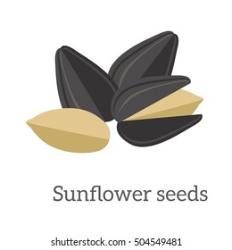 Illustration of sunflower seeds. Ripe sunflower seed in flat. Several sunflower seeds. Healthy vegetarian food. Isolated vector illustration on white background.