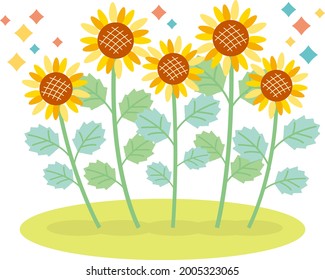 An illustration of a sunflower that can be used for summer greetings and backgrounds