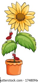 Illustration of a sunflower with two ants on a white background