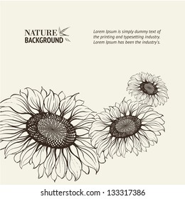 Illustration of sunflower. Vector illustration, contains transparencies, gradients and effects.