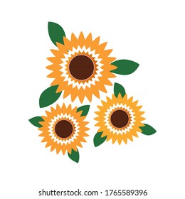 ilustración vector de girasol aislado blanco