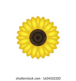 Illustration sunflower yellow flower simple nature logo vector design