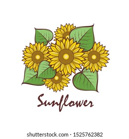 Illustration of sunflowers. Flowers isolated on white background.