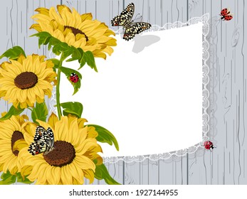 Illustration with sunflowers and frame.Sunflowers, butterflies and ladybugs in vector color illustration.