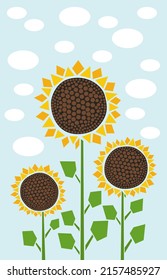 Illustration of the sunflowers growing in the meadow