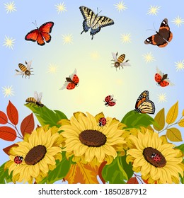 Illustration with sunflowers and insects.Ladybugs, butterflies, bees and sunflowers in a bright color illustration.