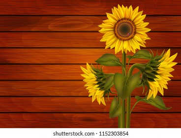 Illustration of sunflowers and ladybird on wooden board
