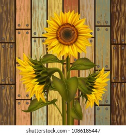 Illustration of sunflowers and leaves on varicolored wooden board
