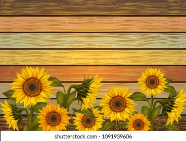 Illustration of sunflowers and leaves on varicolored wooden board
