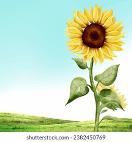 illustration of sunflowers with a sky background