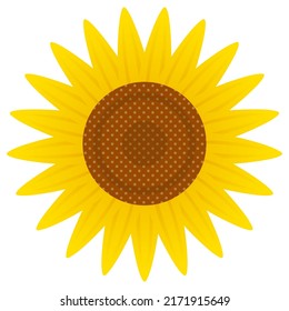Illustration von Sonnenblumen. Vektorgrafik auf weißem Hintergrund.
