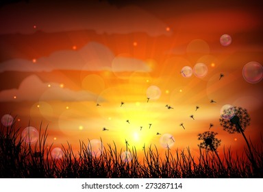 Illustration of sunrise and dragonfly. vector illustration