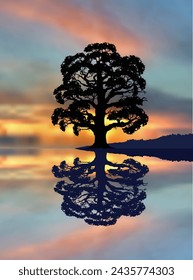 illustration with sunset through large tree on orange background