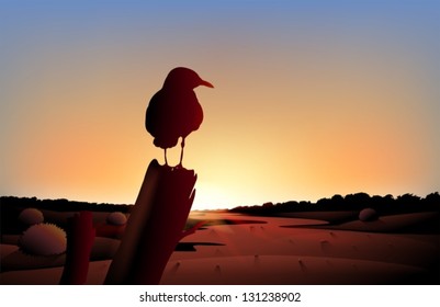 Illustration des Sonnenuntergangs mit einem großen Vogel auf die Wüste