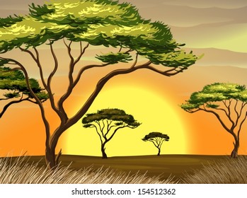 Illustration of a sunset view at the forest