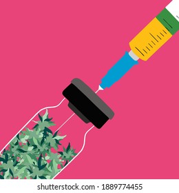 Illustration of suringe with weedy vaccine on pink background 