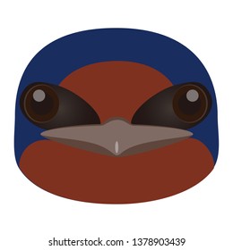 Illustration of the swallow