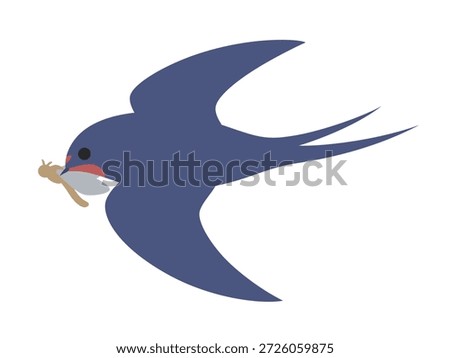 Illustration of a swallow flying low to catch an insect