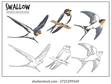 Ilustración de una golondrina ilustrada en múltiples poses con contornos claros, mostrando sus características elegantes y apariencia ágil. Concepto de diseño animal