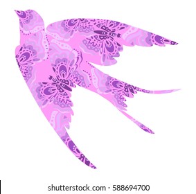 illustration swallow spring bird 