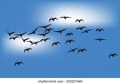 illustration with swans in blue sky