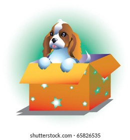 Illustration of sweet dog in box
