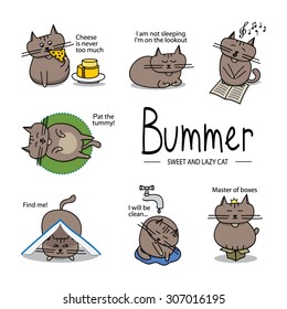 illustration sweet and lazy cat