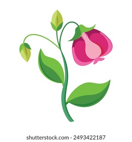 Illustration of sweet Pea flower with leaves