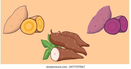 Illustration of Sweet Potato and Casava
Delicious root 