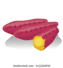 Ilustración de la batata, ilustración de las hortalizas, datos vectoriales