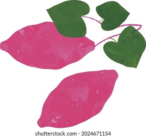 Illustration of sweet potatoes with leaves