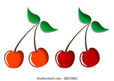 Illustration of sweet and sour red cherry