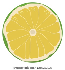 Illustration of the sweetie