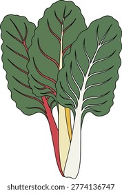 Illustration of Swiss chard featuring bright green leaves and stalks in red, yellow, and white. A healthy and colorful vegetable.