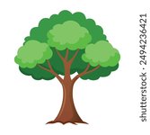 Illustration of Sycamore tree isolated on white