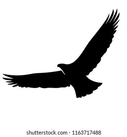 Illustration Symbol Fly Eagle Silhouette