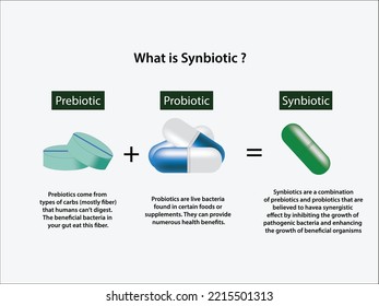 Illustration of Synbiotic, a combination of probiotics and prebiotics. Living organism. Bacteria. Vector