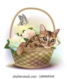 Illustration of  the tabby cat sitting in a basket with roses.